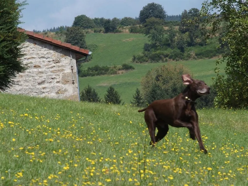 Chateau Des Marcilly Talaru Chalmazel-Jeansagniere Holiday home